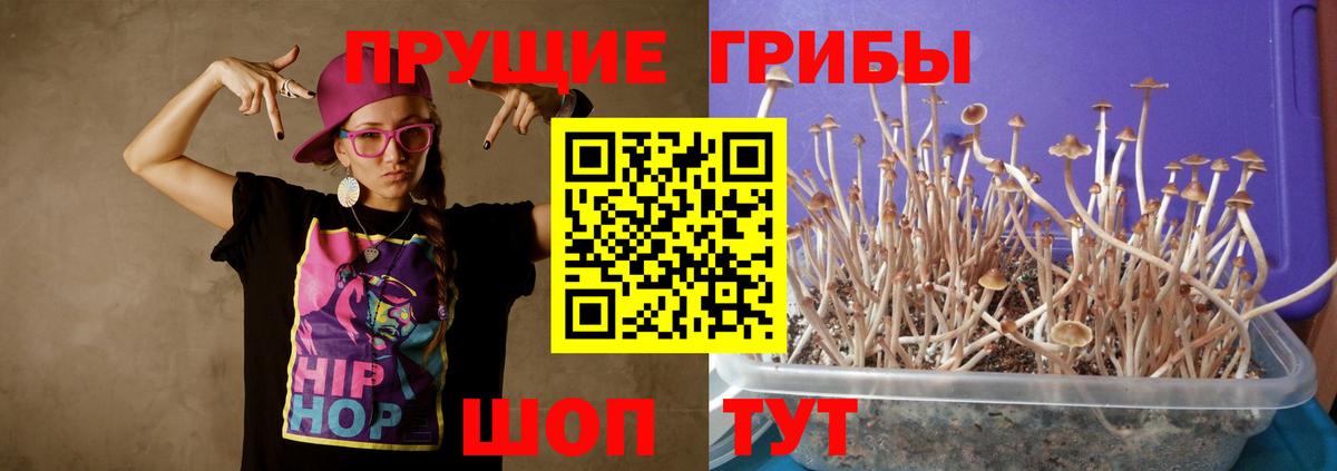 Дмитров  Галлюциногенные грибы мухоморы  Вход с VPN  Галлюциногенные грибы ЛСД 